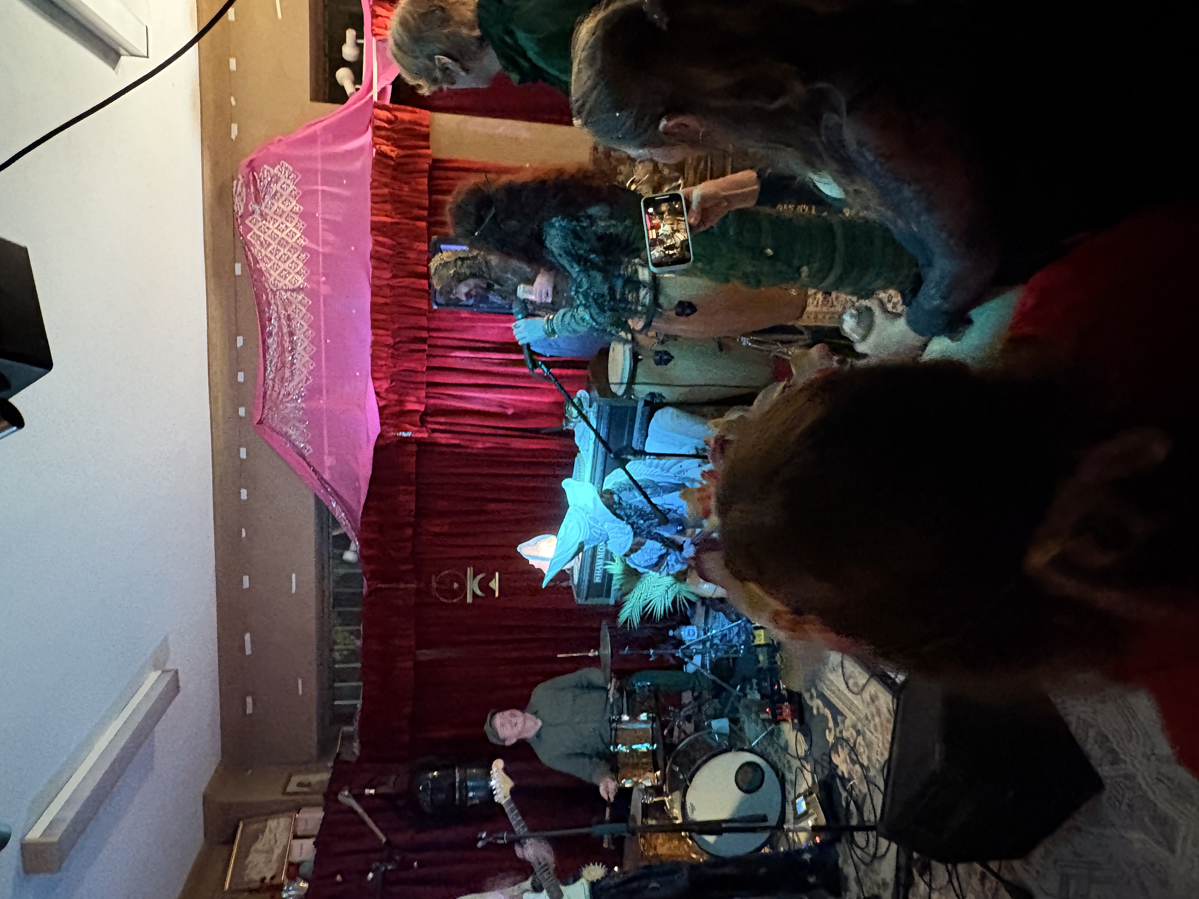The crowd filming the performance